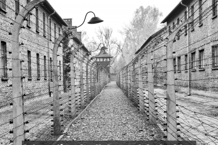 Internationaler Tag des Gedenkens an die Opfer des Holocaust